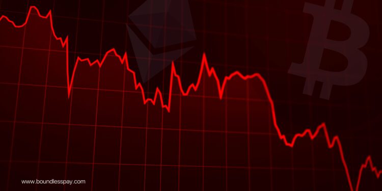 crypto market price dump